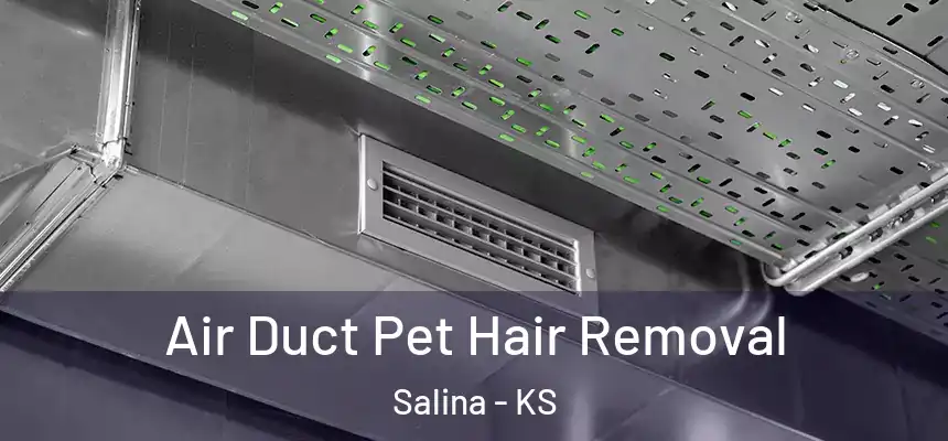 Air Duct Pet Hair Removal Salina - KS