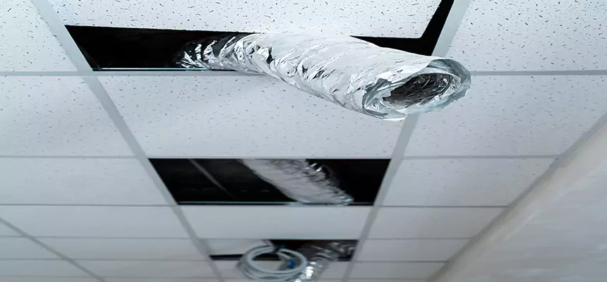 Our Air Duct Pet Hair Removal Services in Salina, KS