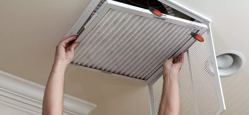 Our Insect Removal from Air Ducts Services in Salina, KS