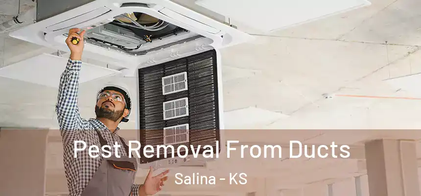 Pest Removal From Ducts Salina - KS