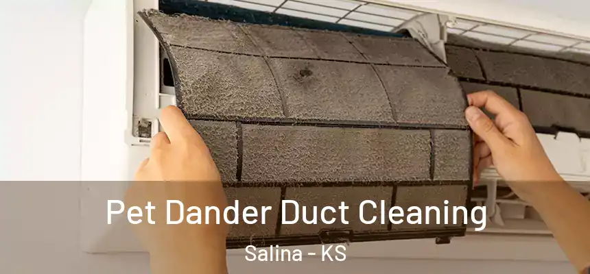  Pet Dander Duct Cleaning Salina - KS