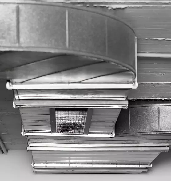 Professional Air Duct Pet Hair Removal in Salina, KS