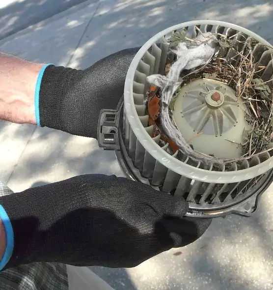 About Air Duct Rat Removal in Salina, KS