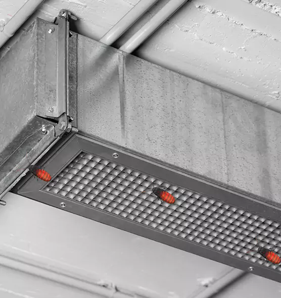 Affordable Insect Removal from Air Ducts in Salina, KS