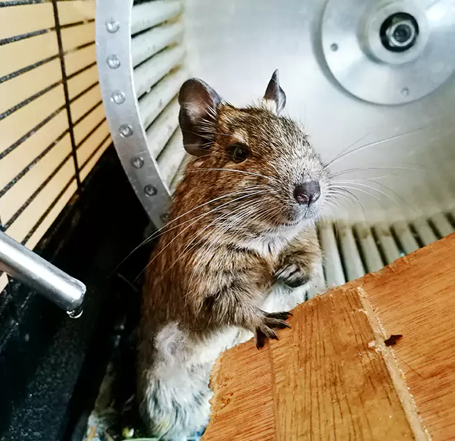 Why Homeowners & Businesses Trust Us Salina, KS