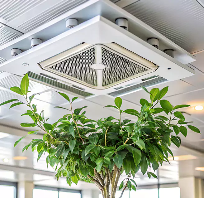 Why Homeowners & Businesses Trust Us in Salina, KS?